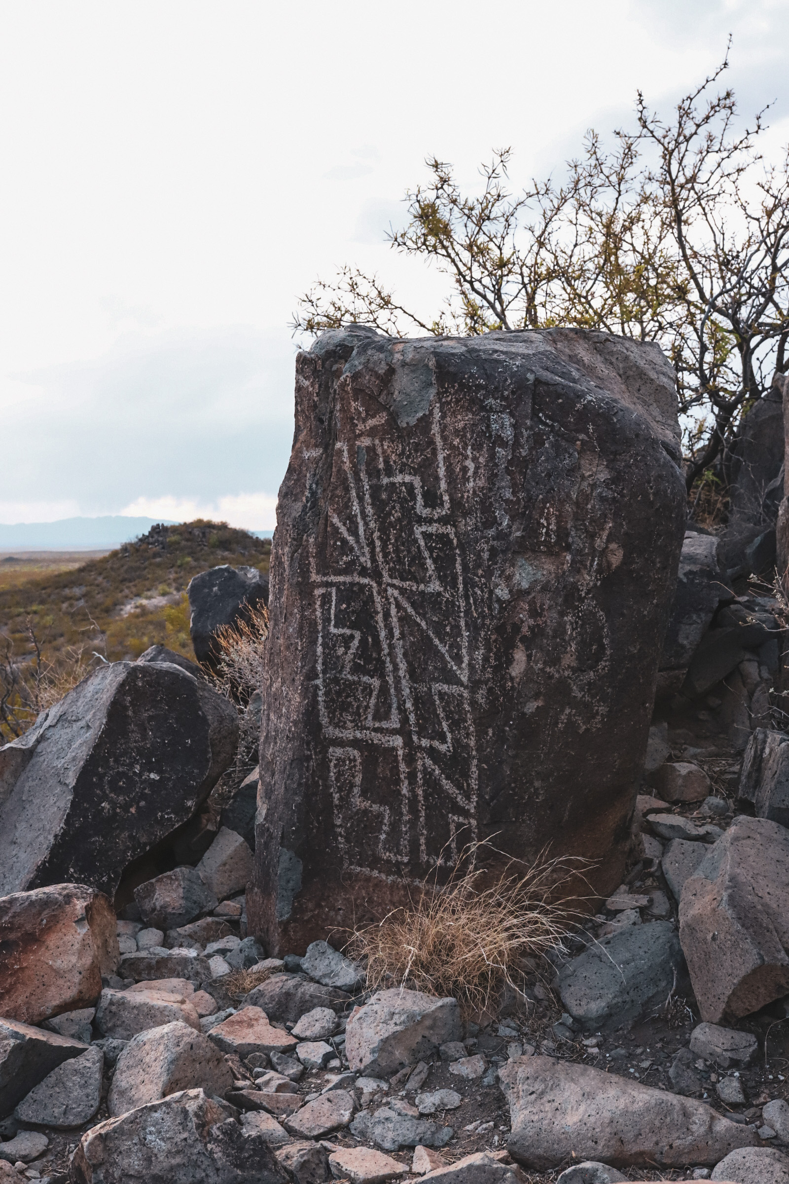 Three Rivers Petroglyph Site